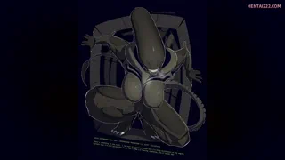 Preview at 00:04