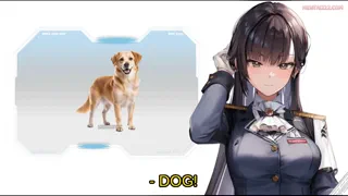 Preview at 00:13