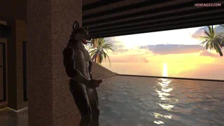 Preview at 00:15