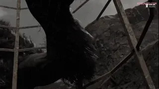 Preview at 00:13