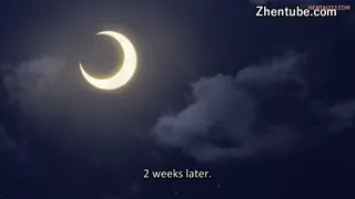 Preview at 00:40