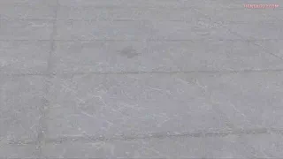 Preview at 00:08