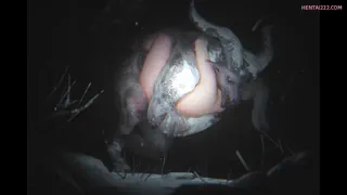 Preview at 00:14